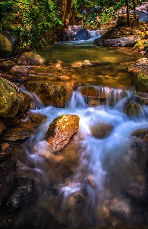 接地气 顺民意