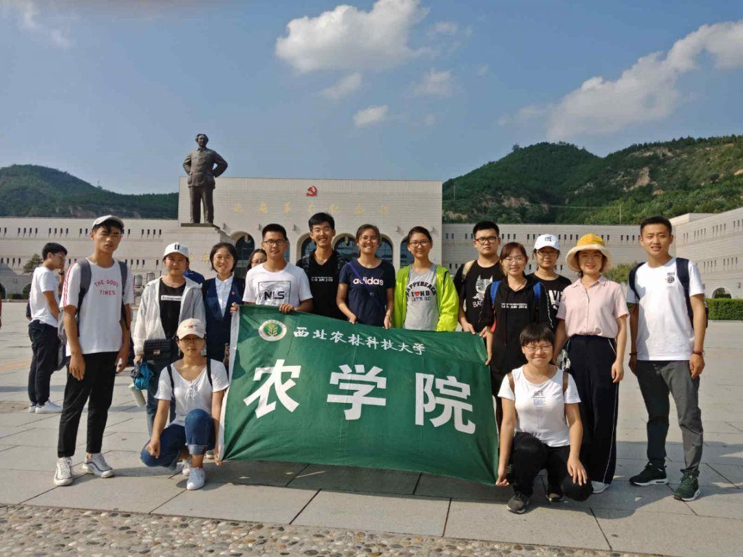 浇花的漂亮女孩